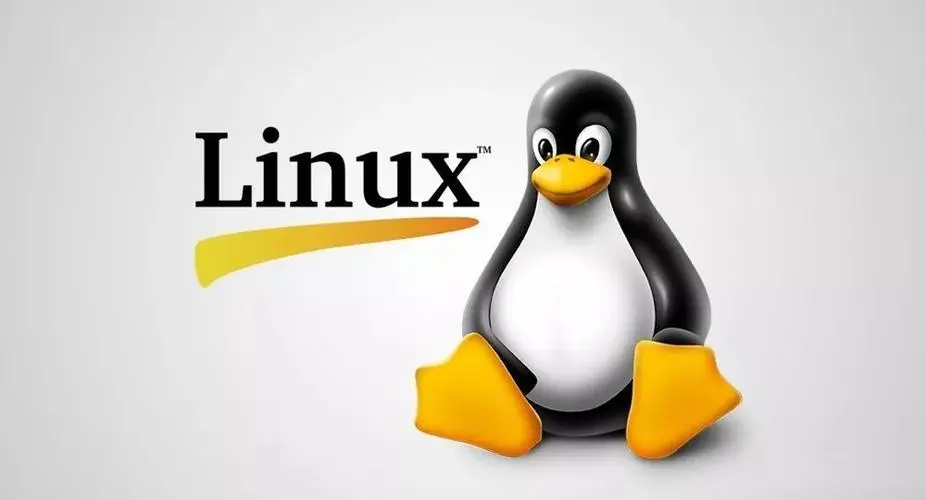 Kernel longterm 6.6.107 Linux内核系统下载