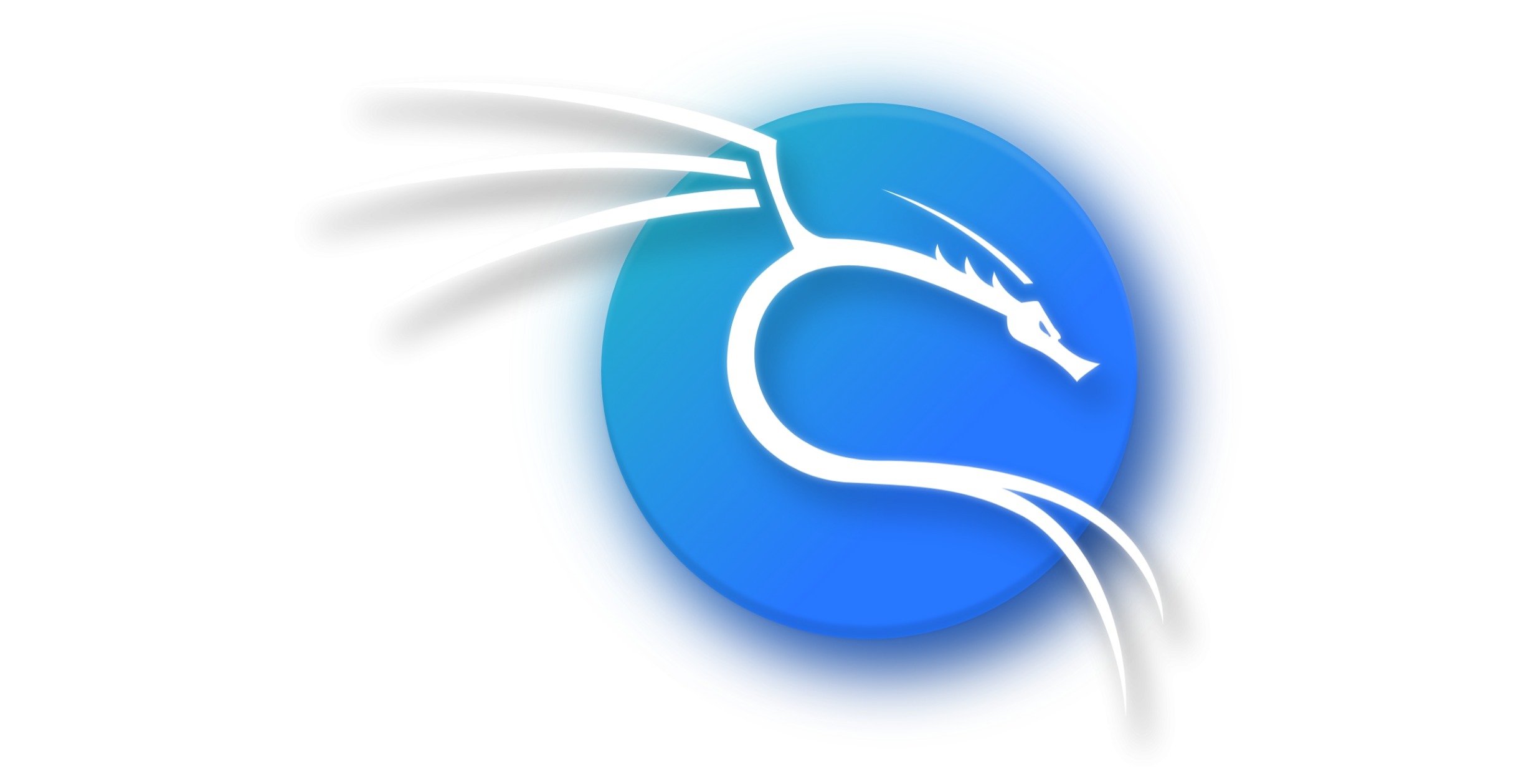 Kali Linux 2025.1a 操作系统下载